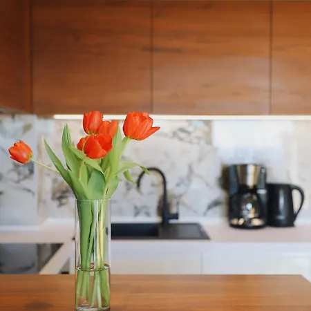 דירה Palazzo Monta דוברובניק